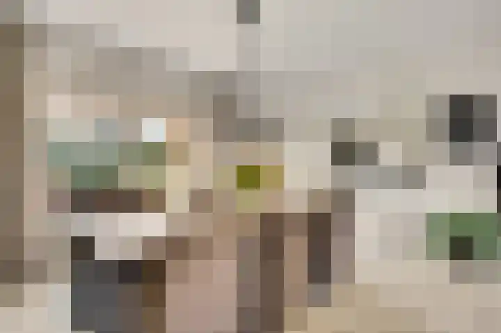 Berkenstraat 4 Hunsel thumbnail 17