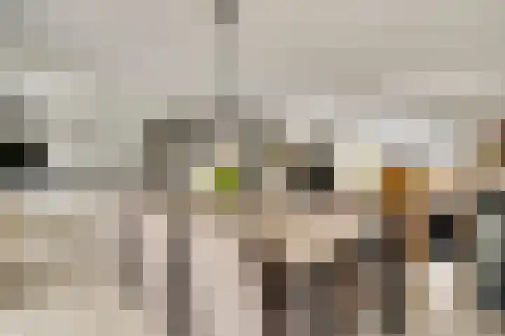 Berkenstraat 4 Hunsel thumbnail 18