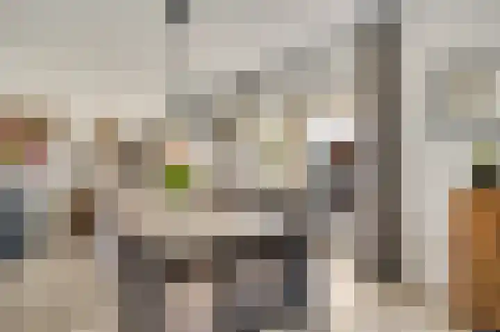 Berkenstraat 4 Hunsel thumbnail 19