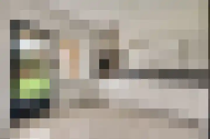 Berkenstraat 4 Hunsel thumbnail 20