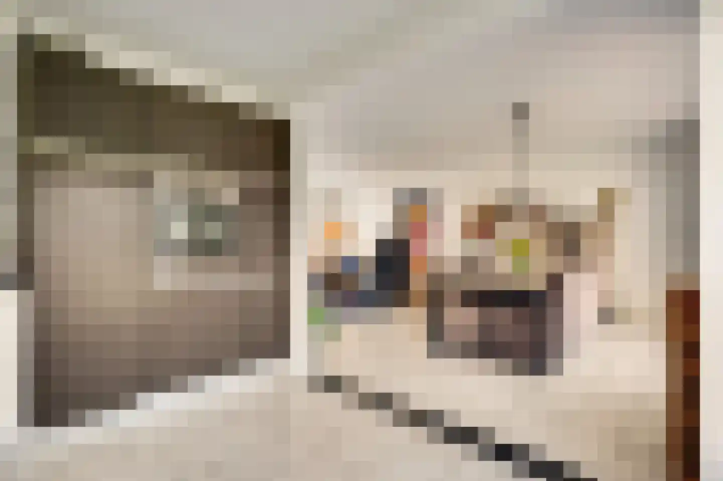 Berkenstraat 4 Hunsel thumbnail 21