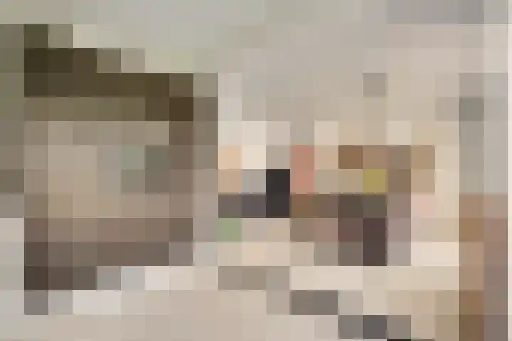 Berkenstraat 4 Hunsel thumbnail 21