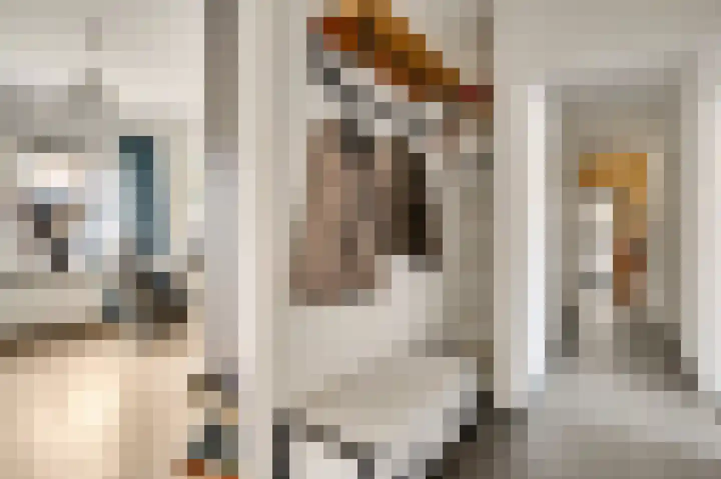 Berkenstraat 4 Hunsel thumbnail 22