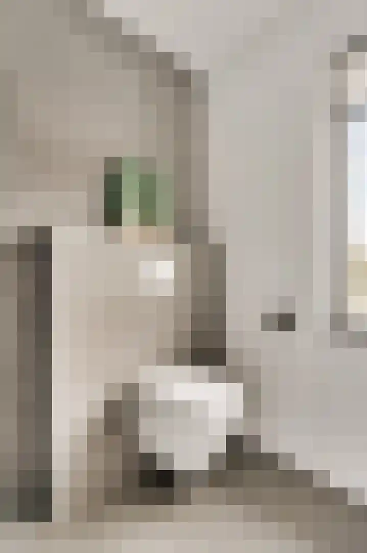 Berkenstraat 4 Hunsel thumbnail 30