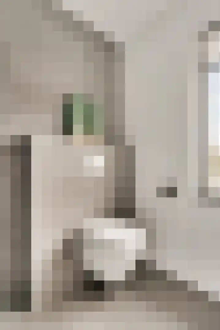 Berkenstraat 4 Hunsel thumbnail 30