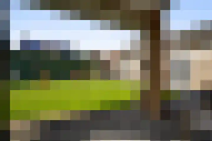 Berkenstraat 4 Hunsel thumbnail 33