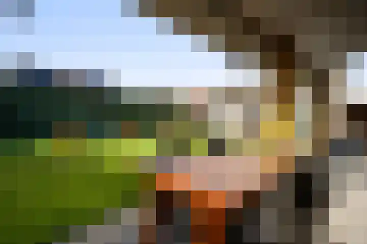 Berkenstraat 4 Hunsel thumbnail 37