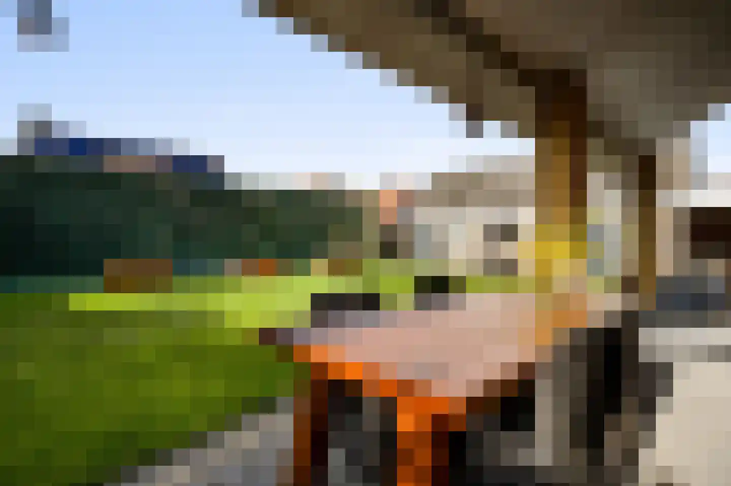 Berkenstraat 4 Hunsel thumbnail 37