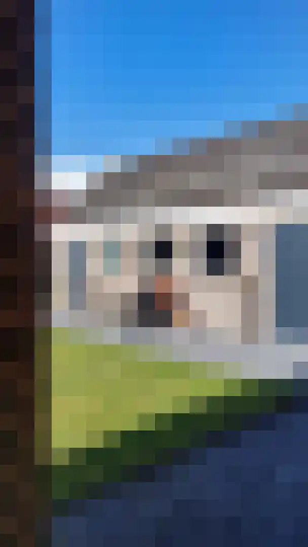 Berkenstraat 4 Hunsel thumbnail 39