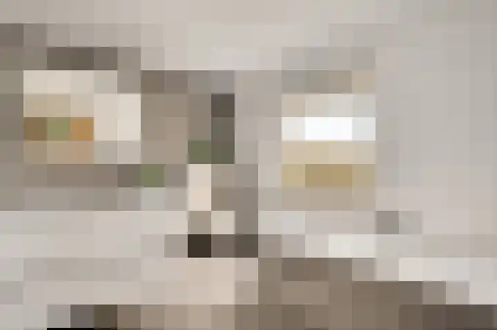 Berkenstraat 4 Hunsel thumbnail 4