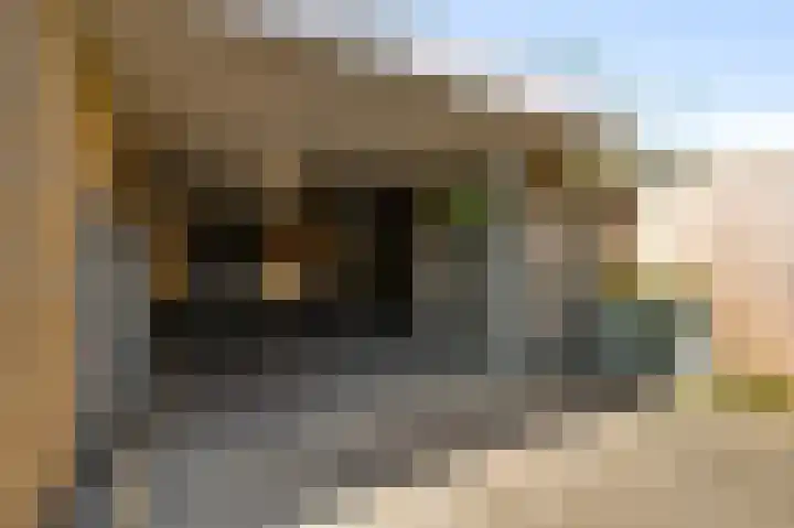 Berkenstraat 4 Hunsel thumbnail 9