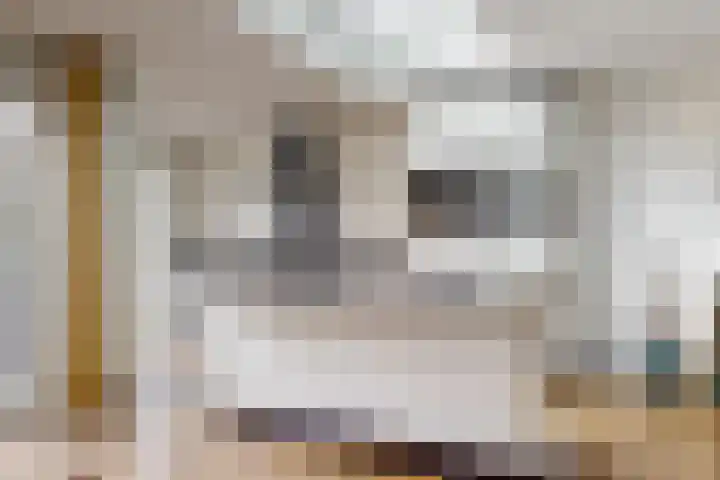 Berkenstraat 4 Uitgeest thumbnail 11