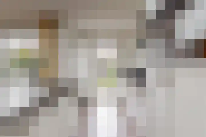 Berkenstraat 4 Uitgeest thumbnail 12