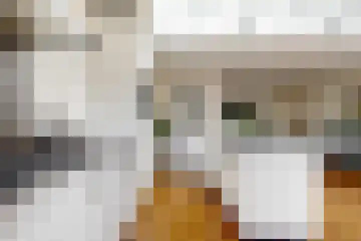 Berkenstraat 4 Uitgeest thumbnail 13