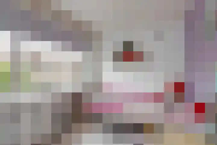Berkenstraat 4 Uitgeest thumbnail 20