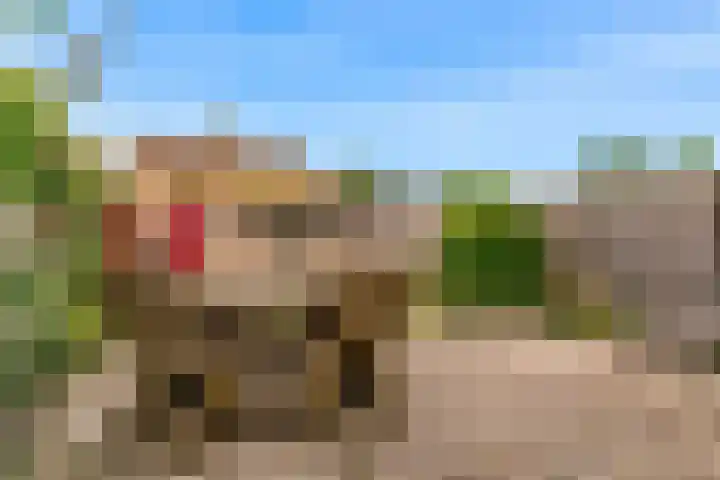 Berkenstraat 4 Uitgeest thumbnail 25
