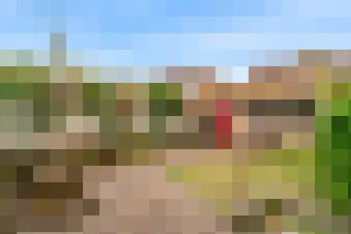 Berkenstraat 4 Uitgeest thumbnail 26