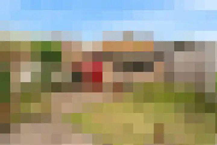 Berkenstraat 4 Uitgeest thumbnail 27