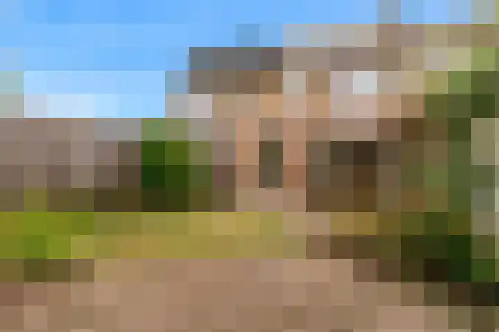 Berkenstraat 4 Uitgeest thumbnail 29