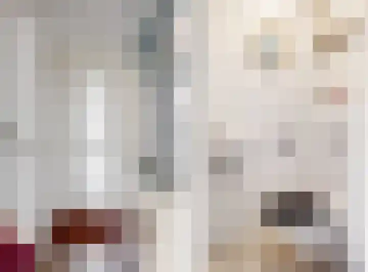 Berkenstraat 4 Uitgeest thumbnail 5