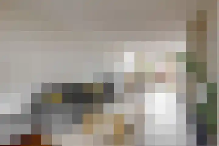 Berkenstraat 4 Uitgeest thumbnail 6
