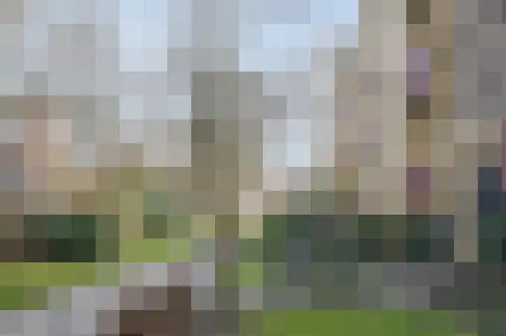 Berkenstraat 41 Assen thumbnail 4