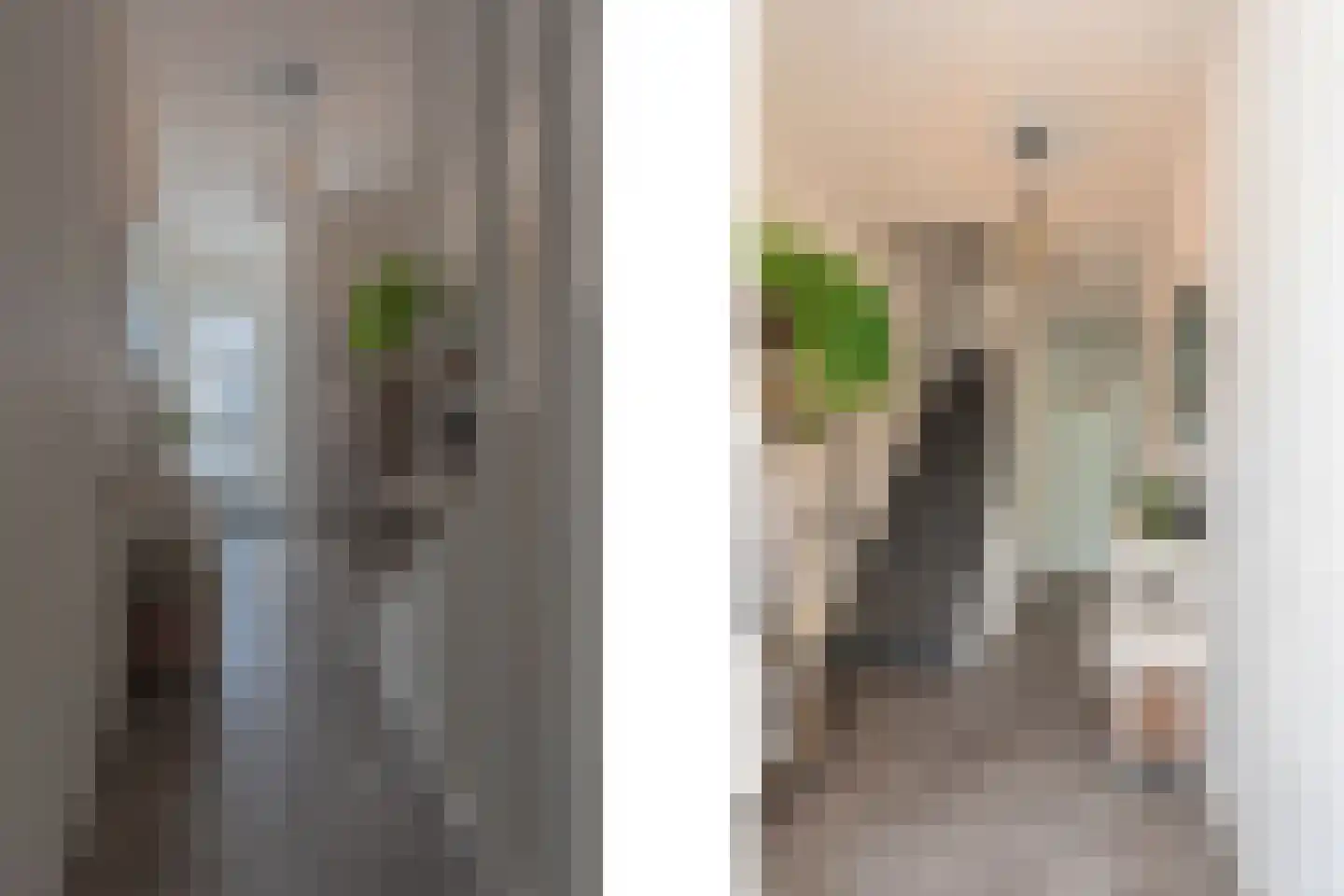 Berkenstraat 45 Goes thumbnail 16