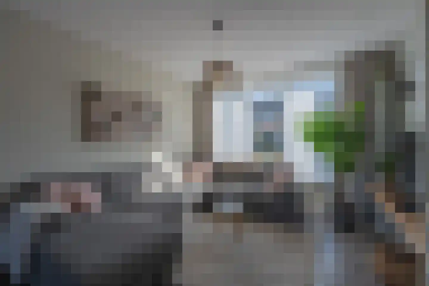 Berkenstraat 45 Goes thumbnail 18