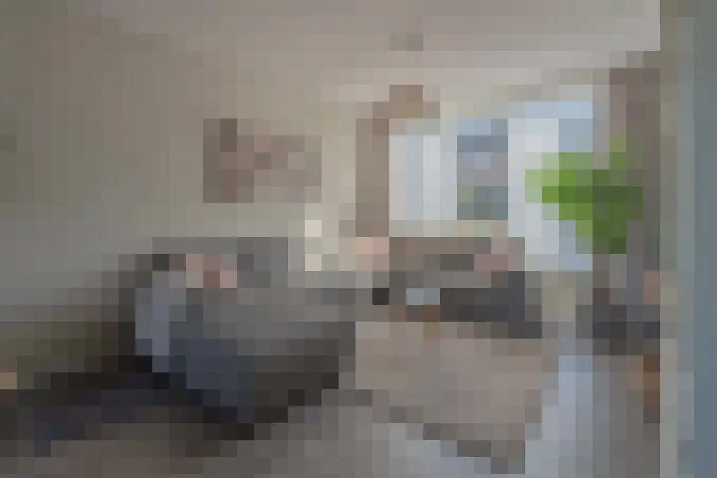 Berkenstraat 45 Goes thumbnail 36