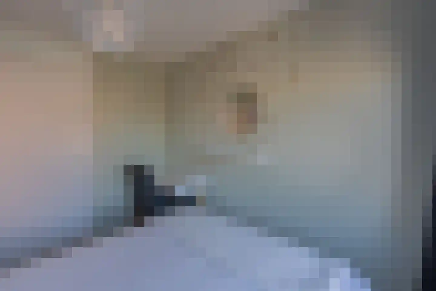 Berkenstraat 45 Goes thumbnail 51