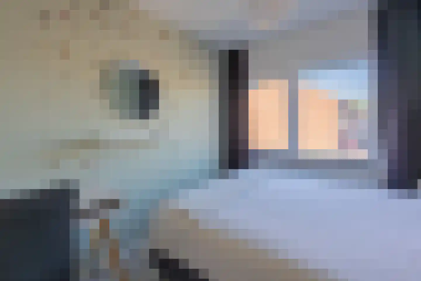 Berkenstraat 45 Goes thumbnail 52