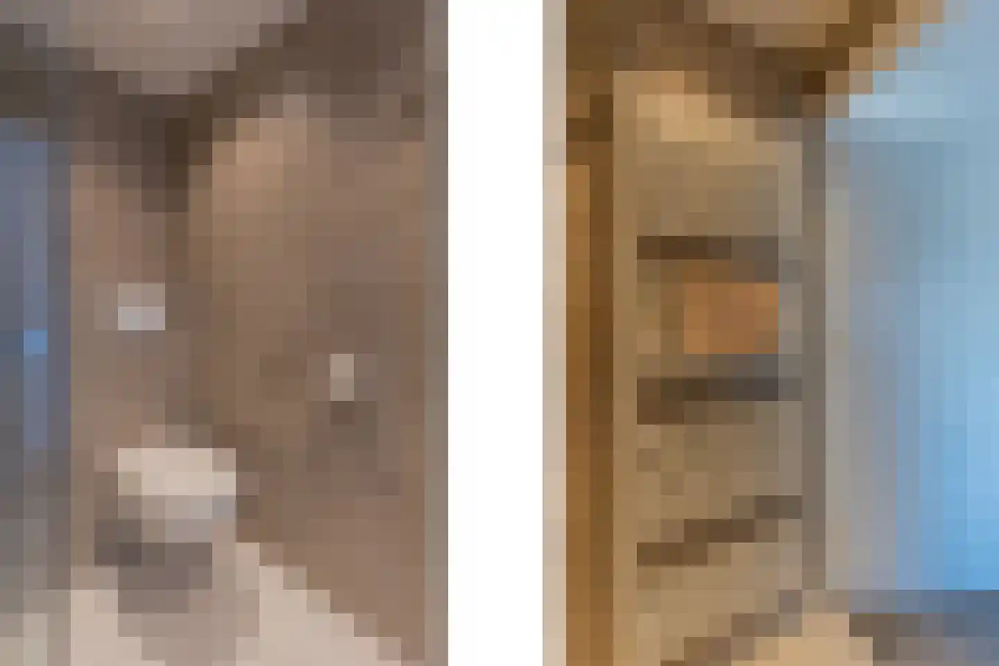 Berkenstraat 45 Goes thumbnail 59