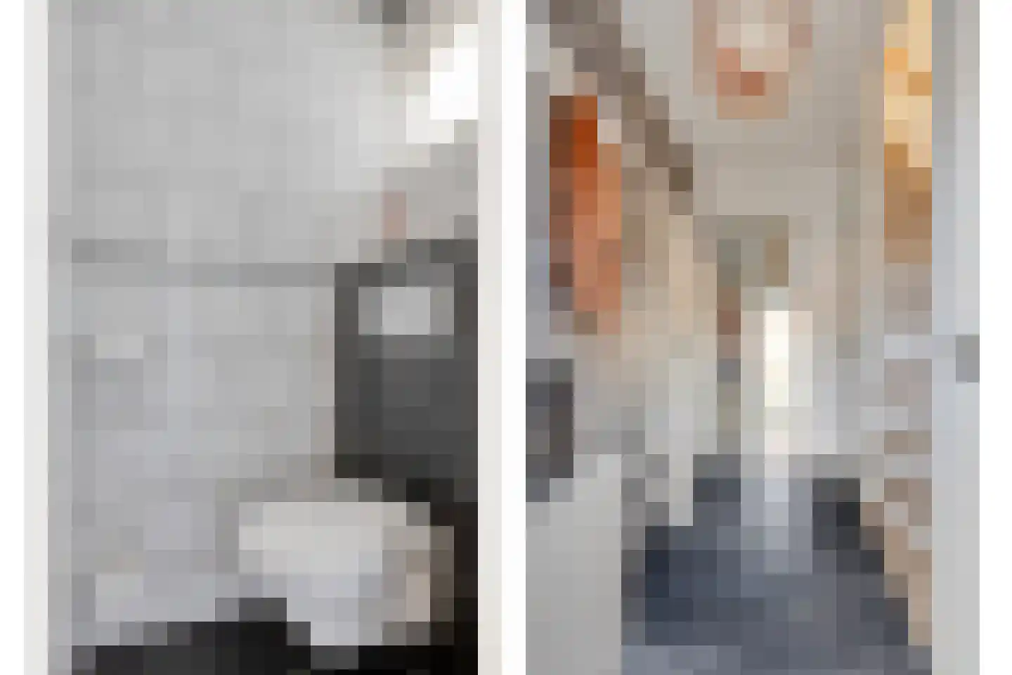 Berkenstraat 5 Drunen thumbnail 5