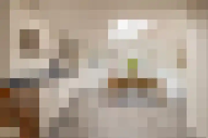 Berkenstraat 53 Deurne foto 3