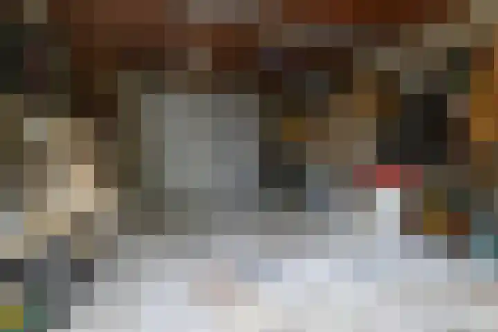 Berkenstraat 6 Deurne thumbnail 21