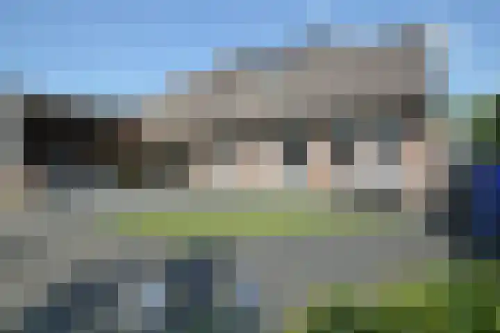 Berkenstraat 6 Deurne thumbnail 24