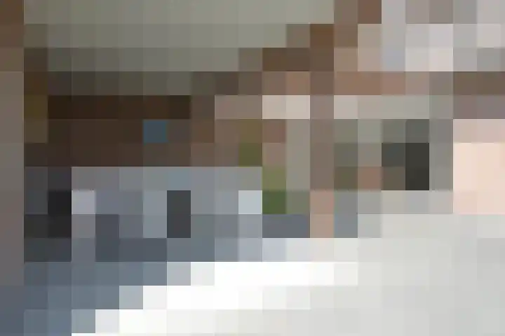 Berkenstraat 6 Deurne thumbnail 29