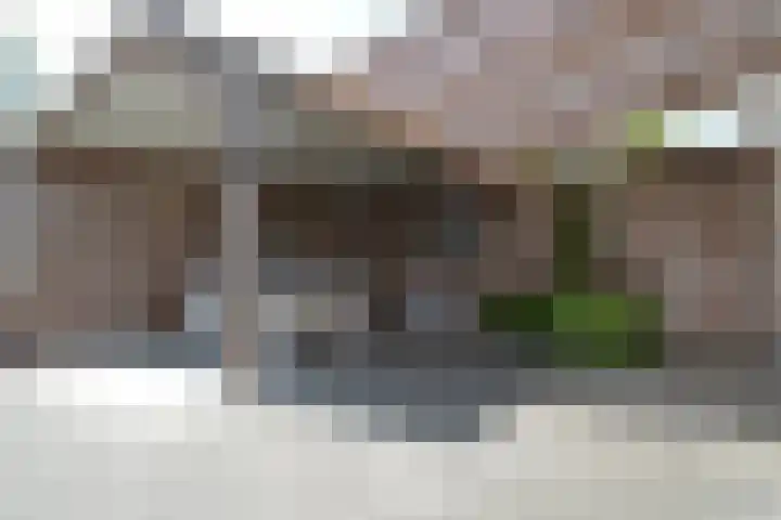 Berkenstraat 6 Deurne thumbnail 30