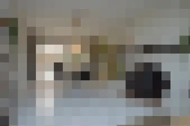 Berkenstraat 6 Deurne thumbnail 4