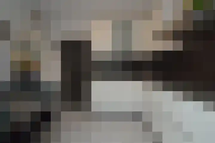 Berkenstraat 6 Deurne thumbnail 8