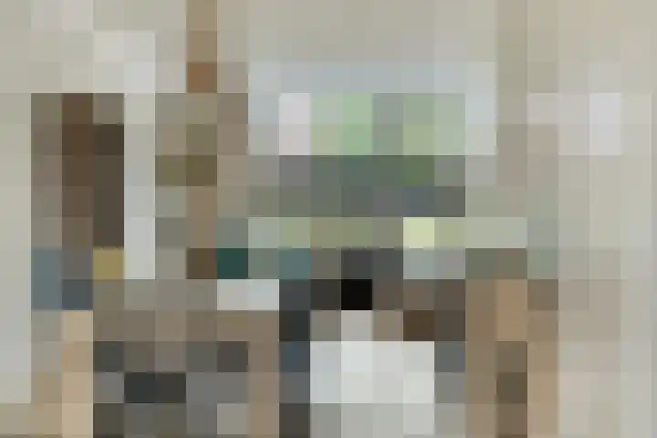 Berkenstraat 7 Deurne thumbnail 13