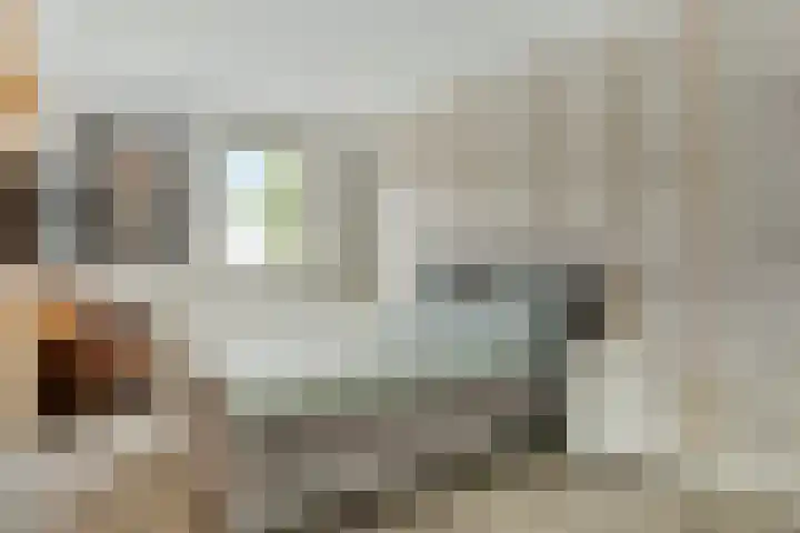 Berkenstraat 7 Deurne thumbnail 18
