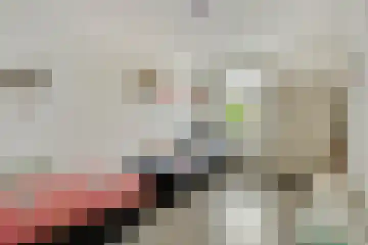 Berkenstraat 7 Deurne thumbnail 22