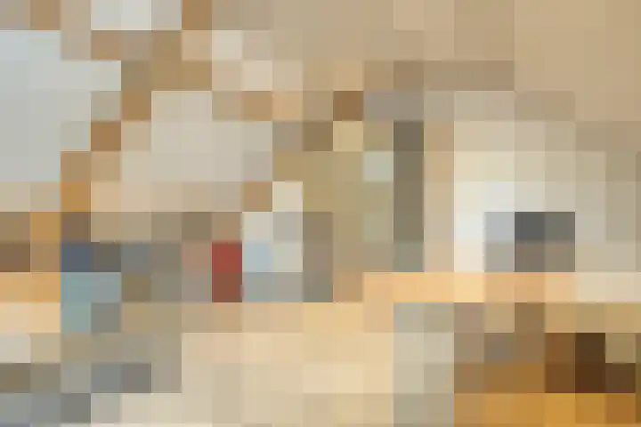 Berkenstraat 7 Deurne thumbnail 29