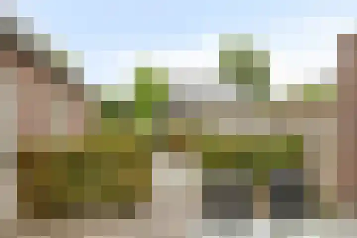 Berkenstraat 7 Deurne thumbnail 32