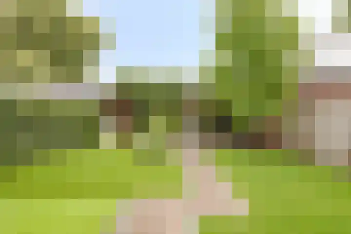 Berkenstraat 7 Deurne thumbnail 5