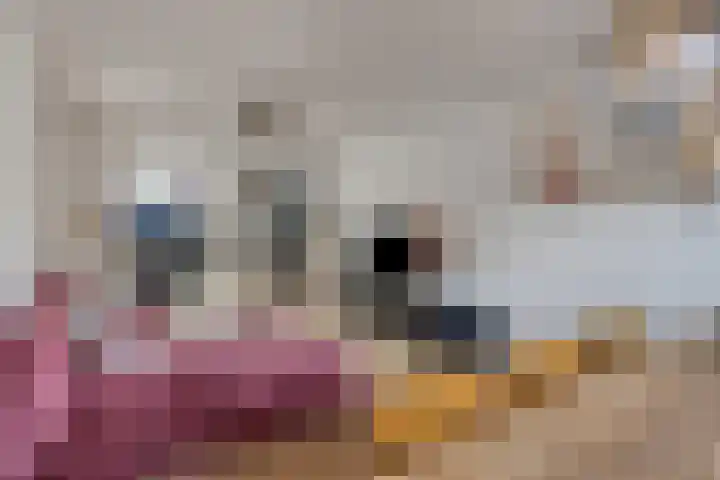 Berkenstraat 7 Drunen thumbnail 10