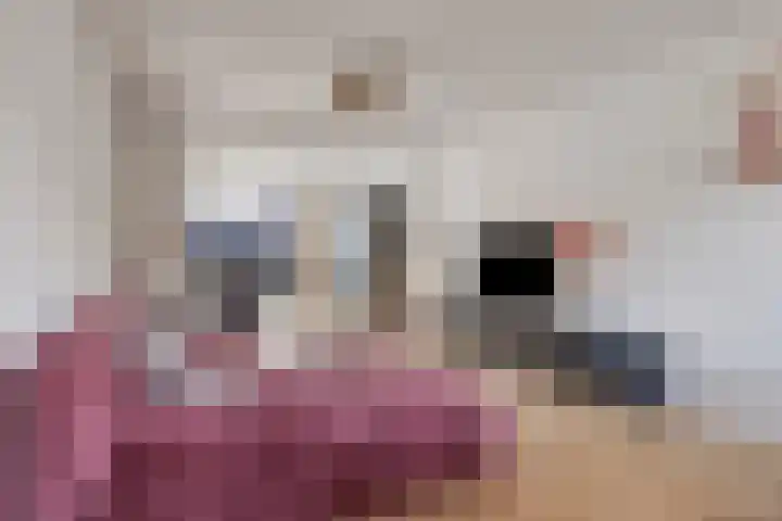 Berkenstraat 7 Drunen thumbnail 14