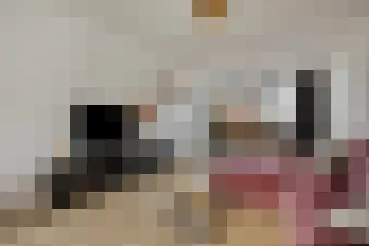 Berkenstraat 7 Drunen thumbnail 15