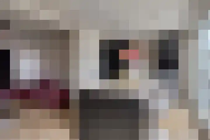 Berkenstraat 7 Drunen thumbnail 19